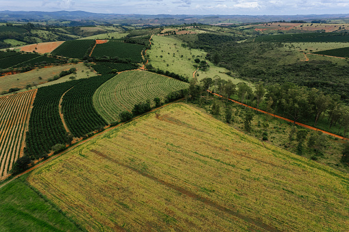 Soy and coffee farm in Brazil
