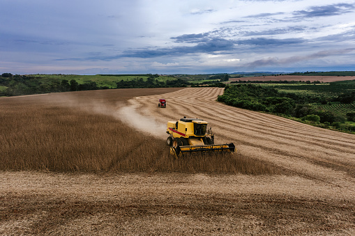 Combine harvester in soybean field at dusk in Brazil