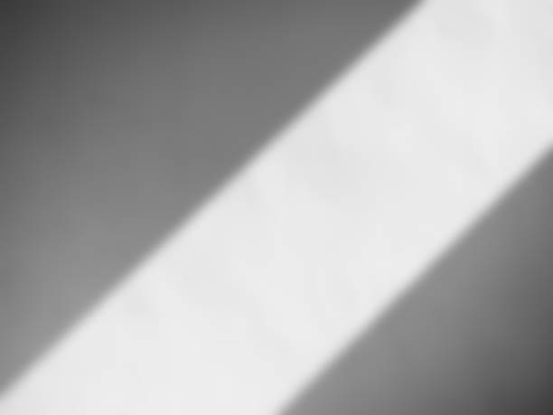 istock Shadow Background Wall Light White Overlay Floor Plant Nature Abstract Backdrop Minimal Mockup Sale Product Presentation, Sunlight blur Cement Marble Frame Summer Tropical 3d Grey Scene Empty. 1853797820