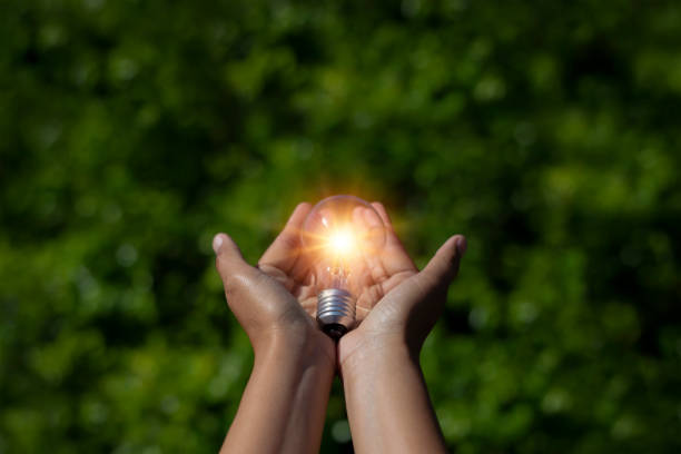 istock Hand holding a light bulb, green leaf background, natural energy and environment concept. 1853825524