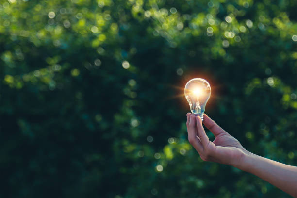 Hand holding a light bulb, green leaf background, natural energy and environment concept.