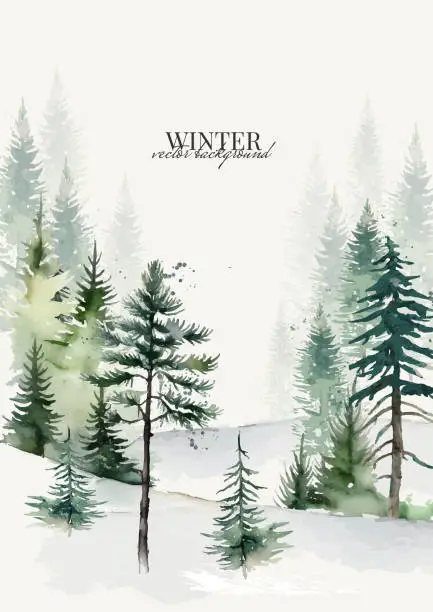 Vector illustration of Postcard with Winter Landscape of Coniferous Forest in Watercolor Style with Spruces, Pines, Firs. Vector