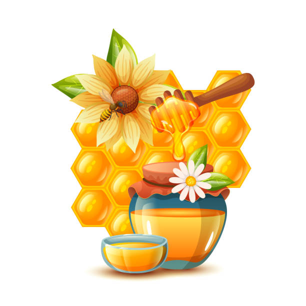 istock weet honey illustration design. Honey illustration 1853933851