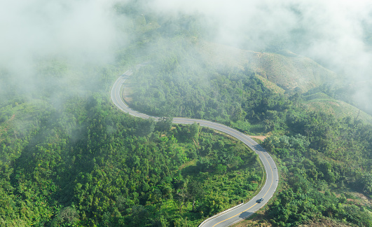 Aerial view of mountain road path and mixed forest. Green deciduous trees with clouds The rich natural ecosystem of the rainforest concept is all about conservation and natural reforestation.
