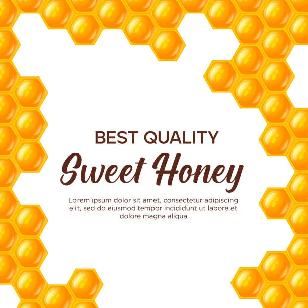 Vector illustration of Honey flyer template design. Organic natural honey vector illustration