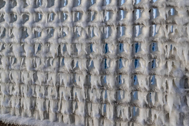 Frozen fencing in winter