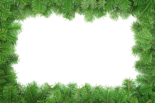 Fir tree frame  isolated on white background