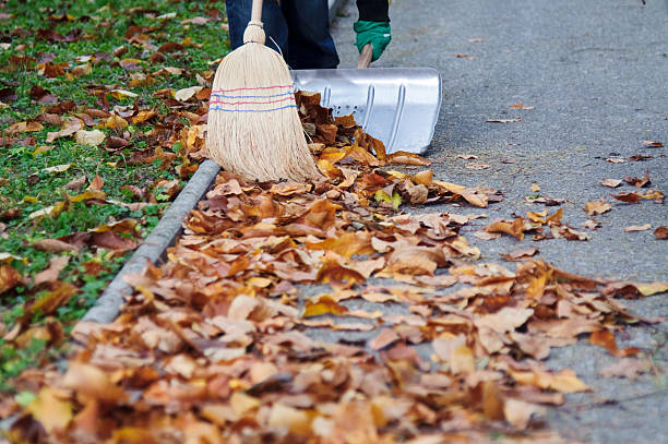 Sweeping autumn leaves stock photo