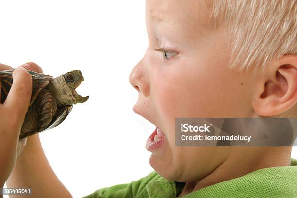Tartaruga Sorprendente A Figlio A - Fotografie stock e altre immagini di 4-5 anni - 4-5 anni, 6-7 anni, Animale