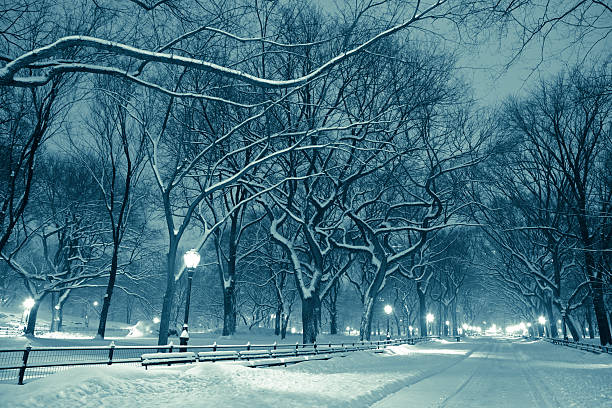 istock Central park by night during snow storm 185405138