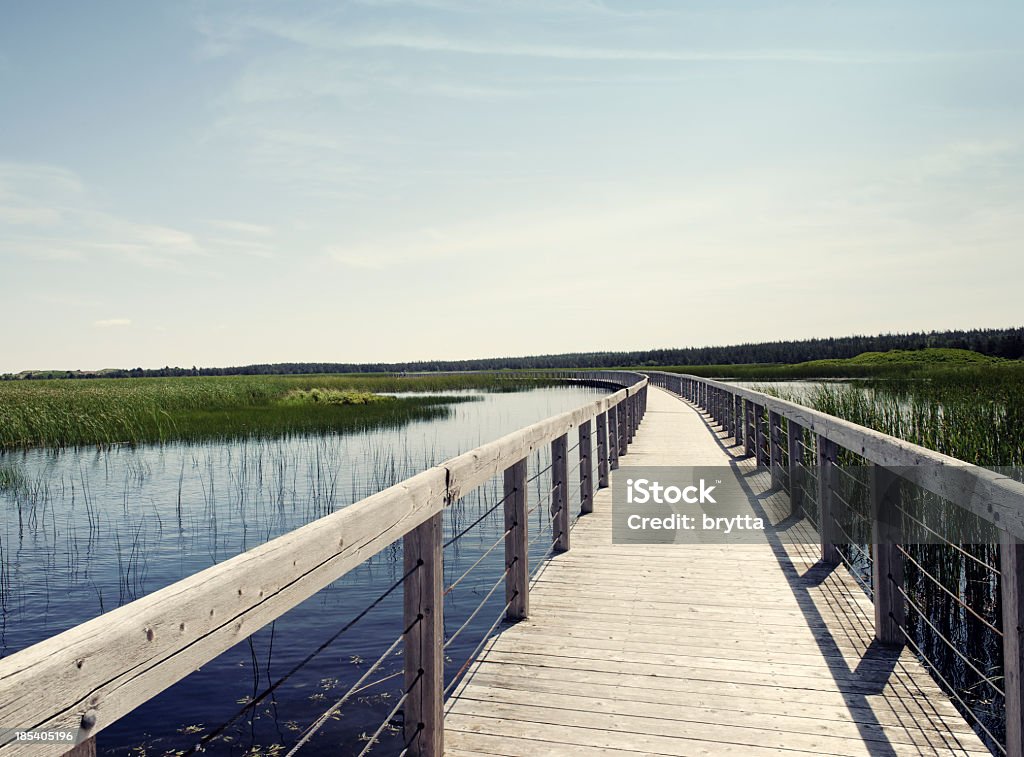 Holzsteg über Bowley Teich, Nationalpark Prince Edward Island, Kanada - Lizenzfrei Farbbild Stock-Foto