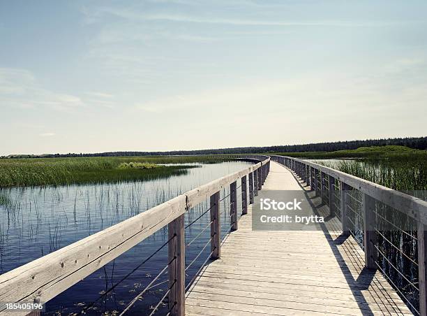 Holzsteg Über Bowley Teich Nationalpark Prince Edward Island Kanada Stockfoto und mehr Bilder von Farbbild