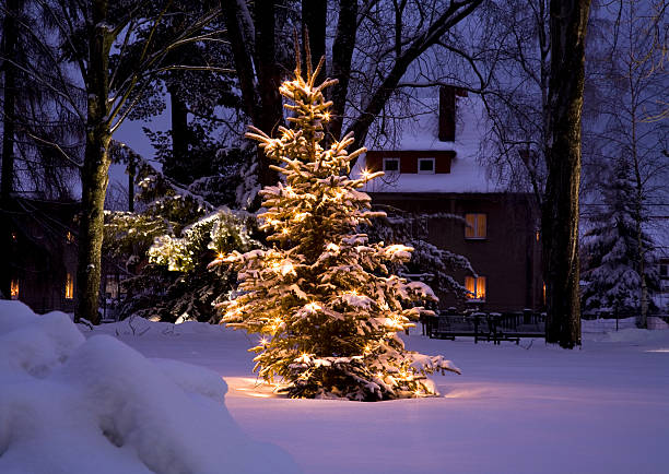 o natal está a chegar - window christmas night house imagens e fotografias de stock