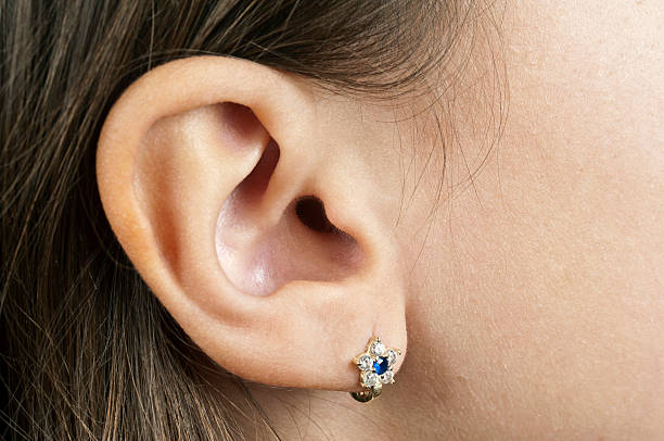 orelha humana - earring imagens e fotografias de stock