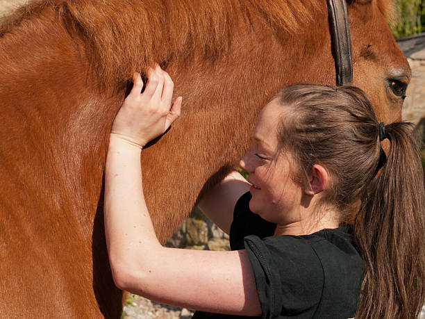 istock Physiotherapy for a horse 185405540