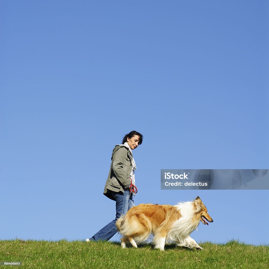 walkies Collie and wife walk 30-39 Years Stock Photo