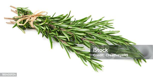 신선한 Rosemary 허브 흰색 배경의 로즈마리에 대한 스톡 사진 및 기타 이미지 - 로즈마리, 컷아웃, 흰색 배경