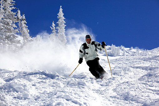 A DSLR photo of a man skiing in deep powder snow at Snowbird ski resort in Utah, USA. Close to 2 feet of new snow on the slope, The skier is in action and alone with powder behind him. The trees are cover of frost and snow and the sky is clear blue on this epic winter day.