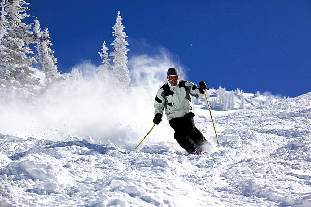 Man Skier in Action in Powder Snow With Clear Sky stock photo