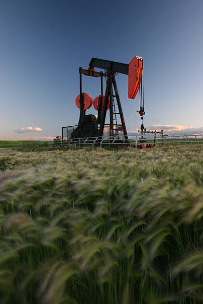 Red Pumpjack in Alberta Crude Oil Field An oil pumpjack in rural Alberta, Canada. Vertical colour image of red pumpjack in beautiful wheat field in southern Alberta. Additional themes include crude oil, oil field, oil sands, tarsands, energy, gas, fossil fuel, lever, geology, engineering, science, technology, manufacturing, oil industry, heavy equipment, industry, economy, oil economy, alberta, oil stocks, natural gas, sour gas, well, pollution, earth, environment, and natural resources. Nobody is in the image, taken near Lethbridge, Alberta.  oil pump oil industry alberta equipment stock pictures, royalty-free photos & images