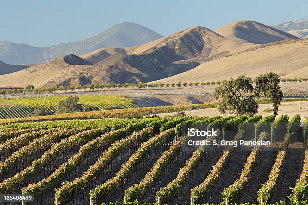 Вино Страна Живописным — стоковые фотографии и другие картинки Санта-Инес - Санта-Инес, Los Olivos - California, Калифорния