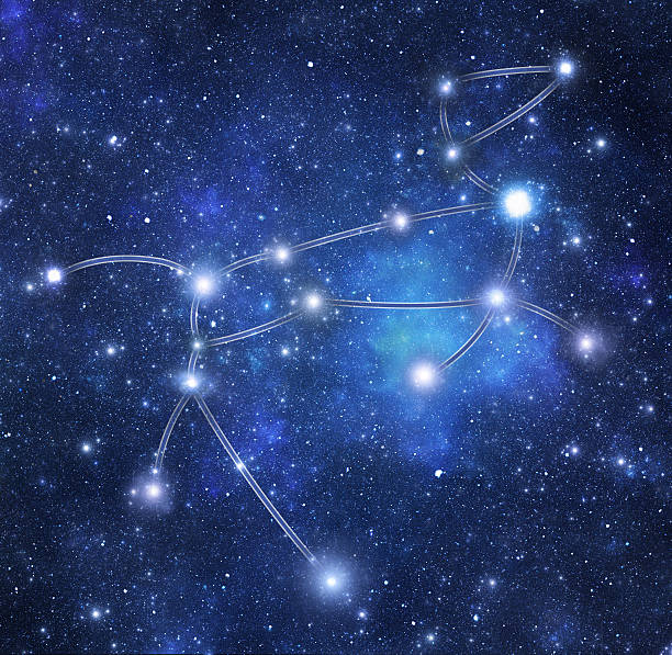 Constellations.  Canis Major (CMa) stock photo