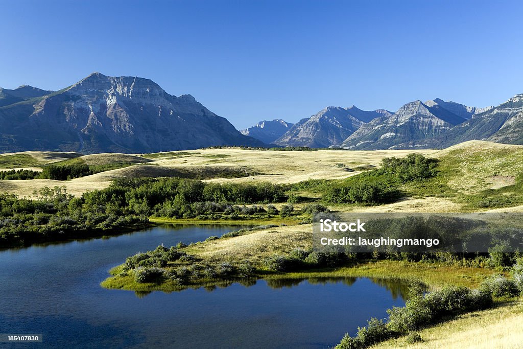 waterton lakes national park buffalo paddock at waterton lakes national park Alberta Stock Photo