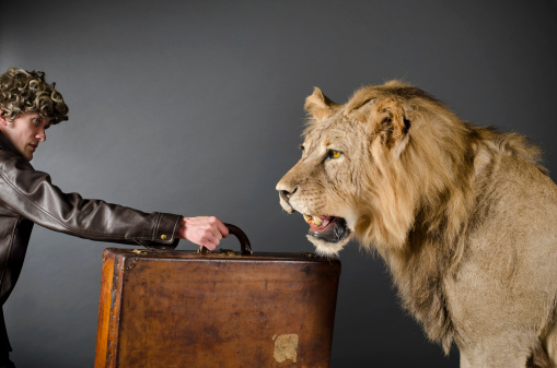 A man of questionable character in a leather jacket hands a leather suitcase to a waiting lion.