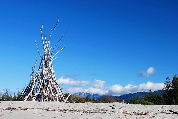 driftwood tumulo, motueka lingua di terra, tasman, nz - il monumento di nelson foto e immagini stock