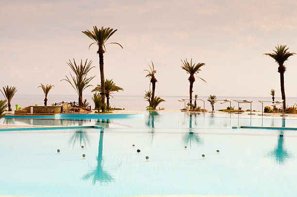 istock Pool side scenary and palm tree in Bafra, North Cyprus 185408289