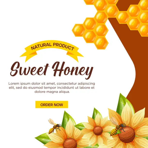 Vector illustration of Sweet honey social media post for promotion