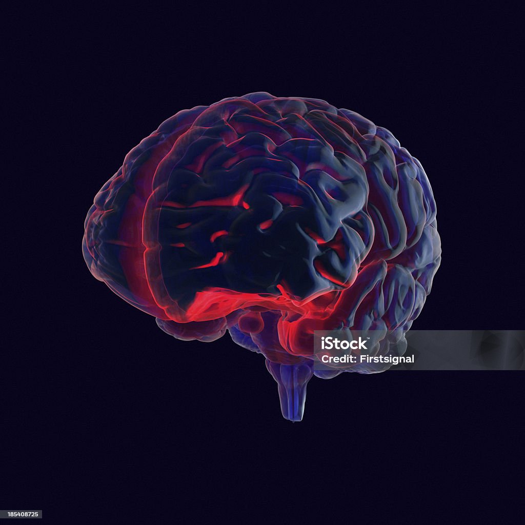 Cerebro humano estilo de rayos X - Foto de stock de Cerebro humano libre de derechos