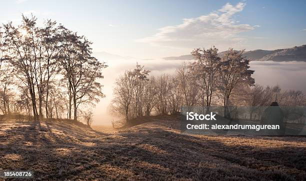 Cena Rural - Fotografias de stock e mais imagens de Amanhecer - Amanhecer, Ao Ar Livre, Beleza