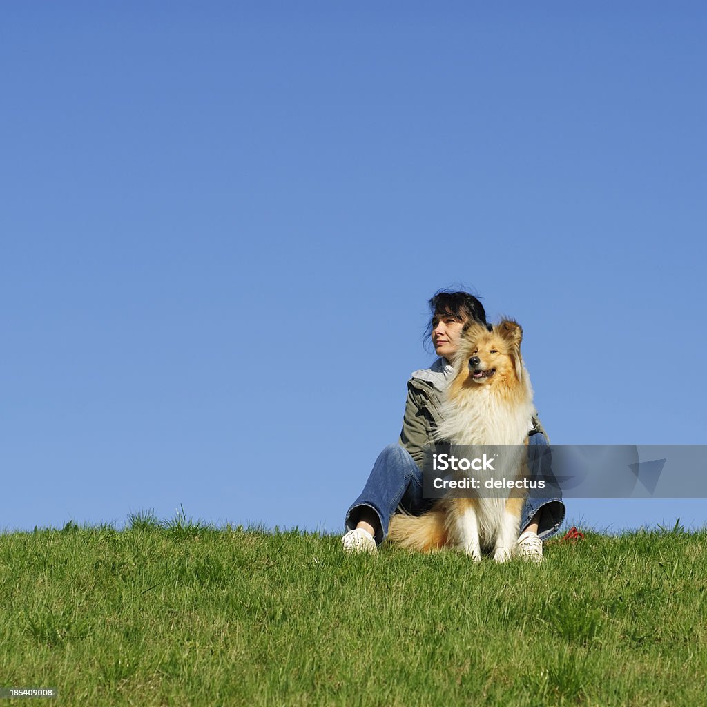 Collie and woman Collie and woman sitting in the grass 40-44 Years Stock Photo