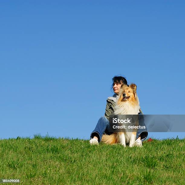 Collie And Woman Stock Photo - Download Image Now - 40-44 Years, Adult, Adults Only