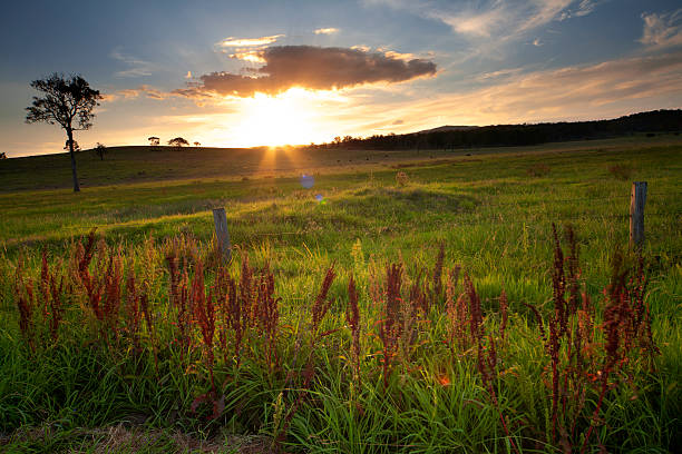 pôr do sol sobre o campo - grandchester imagens e fotografias de stock