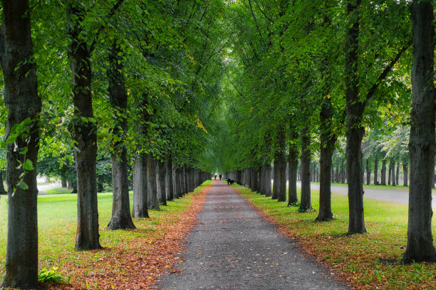 istock Scenic view of a pathway in a park in Hannover, Germany 1854106940