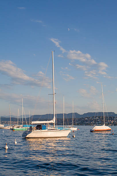 istock Lake of Zurich, Summertime Evening 185423661