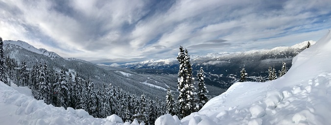 A picturesque winter landscape of trees and mountains blanketed in snow. Whistler Mountain, Canada