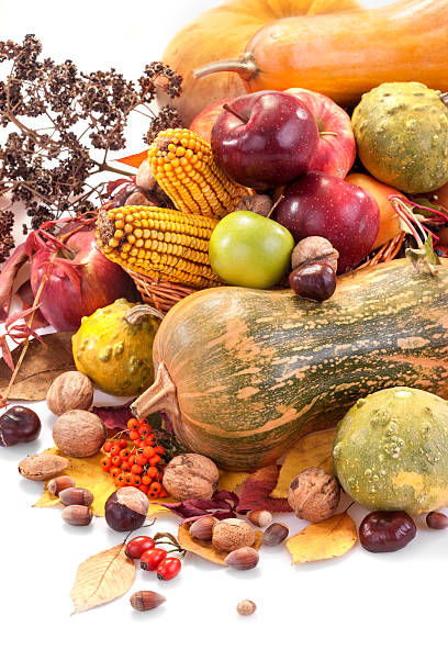 istock Autumn fruits 185423980