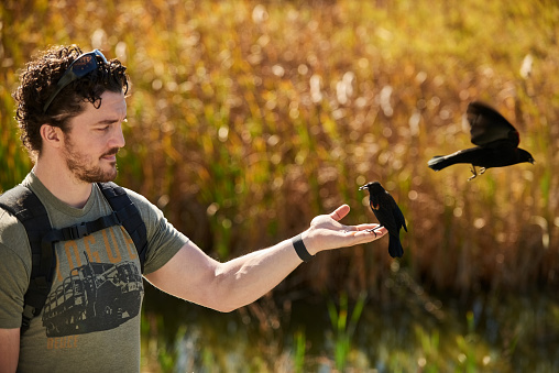 Young male tourist with backpack feeding a red winged blackbird at national park