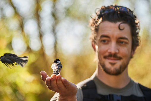 Young male tourist feeding a black capped chickadee outdoors at nature reserve