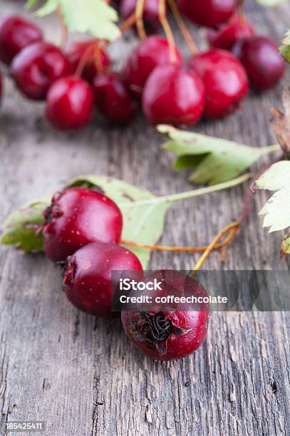 Hawthorn Beeren Stockfoto und mehr Bilder von Ast - Pflanzenbestandteil - Ast - Pflanzenbestandteil, Beere - Obst, Bildhintergrund