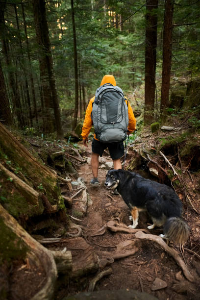 istock Young man with a dog walking through a mountain forest pathway 1854255310