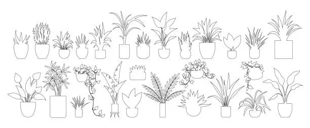 Vector illustration of Flower pot. The flowerpot serves as vessel for nurturing beautiful plants