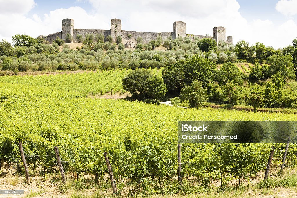 Wineyard in Toscana - Foto stock royalty-free di Agricoltura