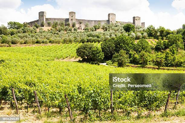 Wineyard In Toscana - Fotografie stock e altre immagini di Agricoltura - Agricoltura, Ambientazione esterna, Azienda vinicola