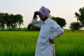farmer-and-field.jpg?b=1&s=170x170&k=20&