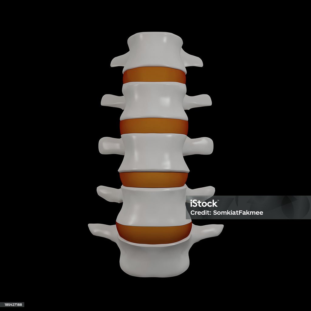 脊椎構造 - 3Dのロイヤリティフリーストックフォト