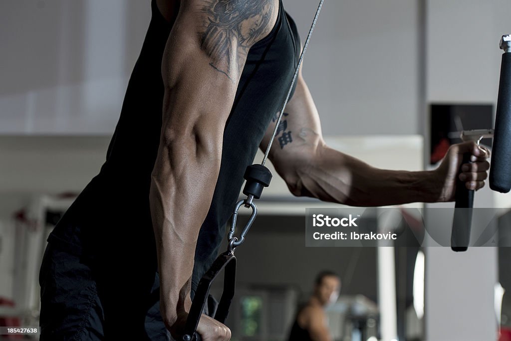 Treino Triceps pendente - Royalty-free 30-39 Anos Foto de stock